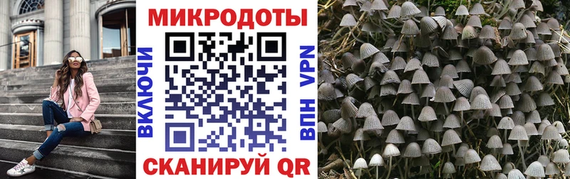 Псилоцибиновые грибы MAGIC MUSHROOMS  Алзамай 